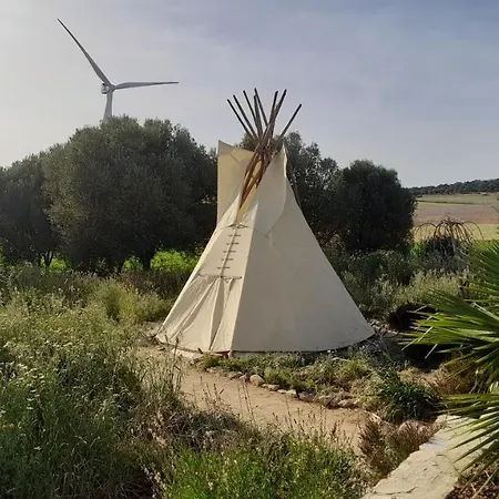 Milagro De Algar * Vejer de la Frontera