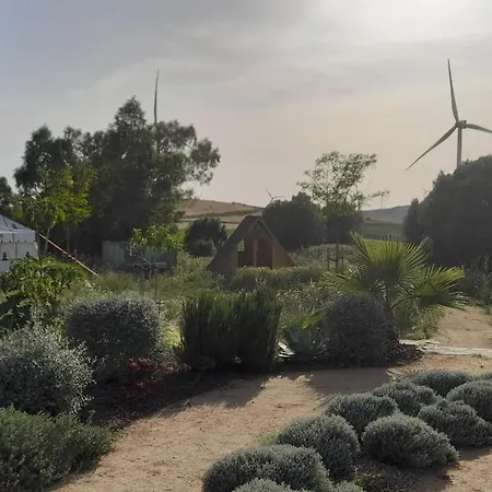 Milagro De Algar Vejer de la Frontera