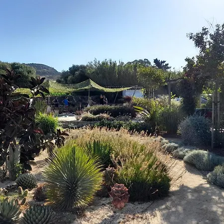 Milagro De Algar Maison d'hôtes Vejer de la Frontera